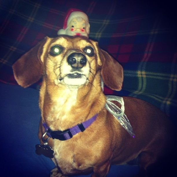 Carl Martz's album, Instagram Photos