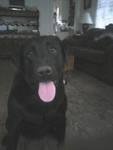 Chrystal Kizer's album, Timeline Photos