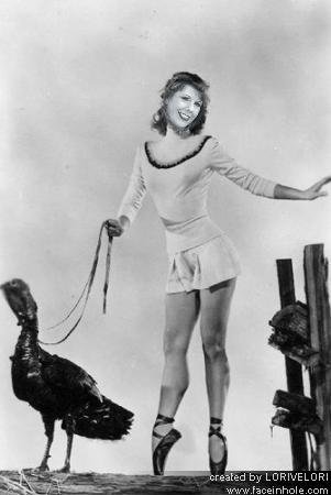 Lori R. Geer's album, Profile Pictures