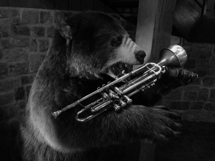 Bill Howe's album, Cover Photos