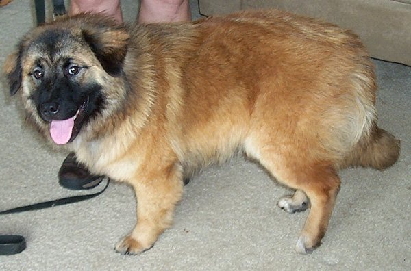 Ted Barker's album, Ted' Pix