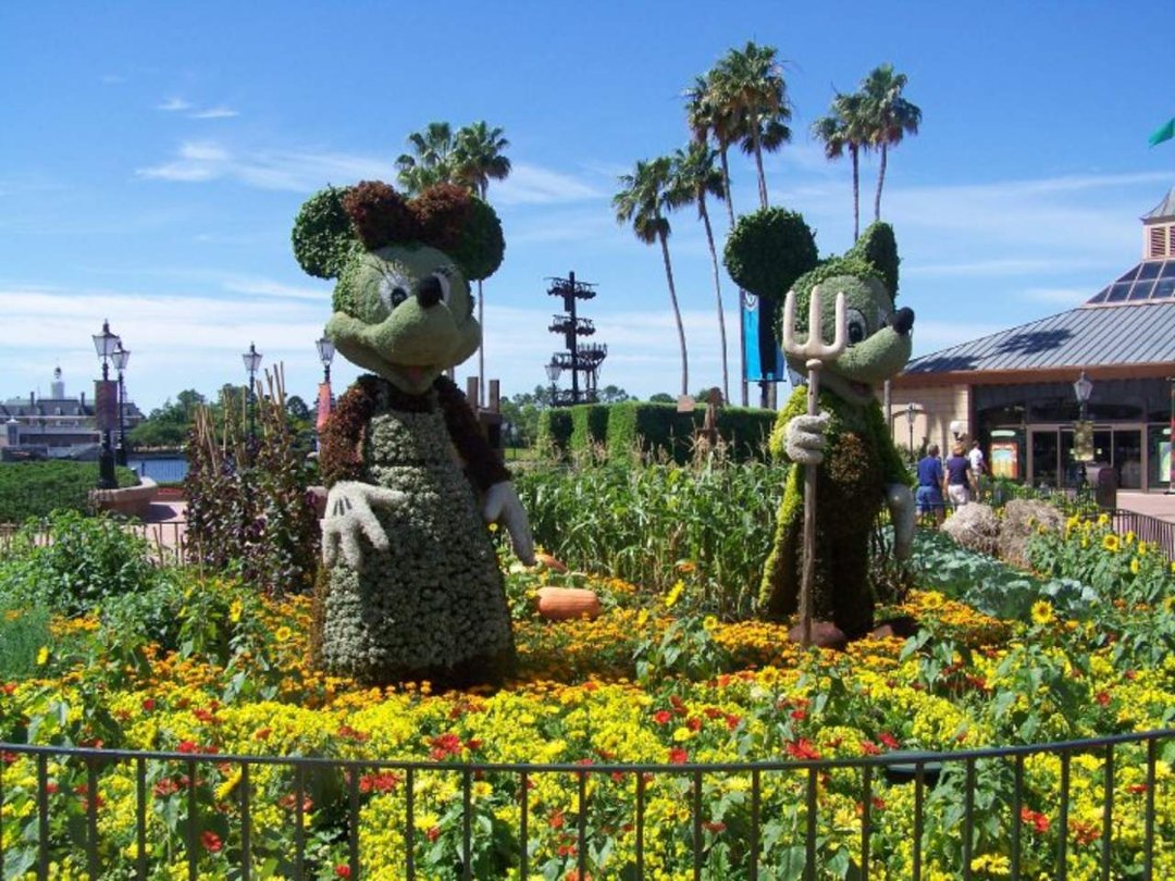 Peter Ticknor's album, Flower show at Epcot