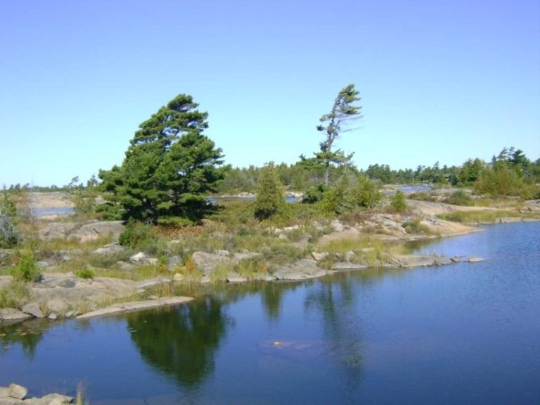 Larry Robichaud's album, Last Weekend @Machine gun Island