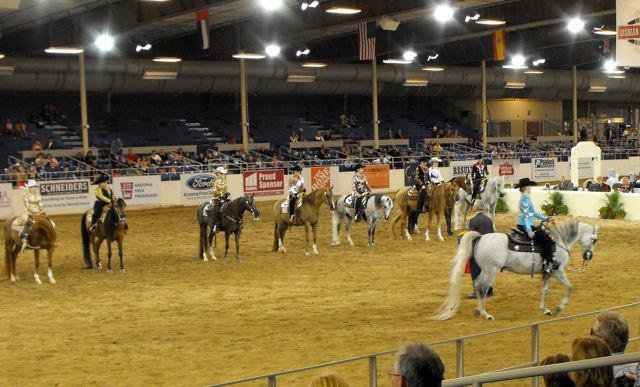 Janice Andersen's album, Arabian Horse Show 2013