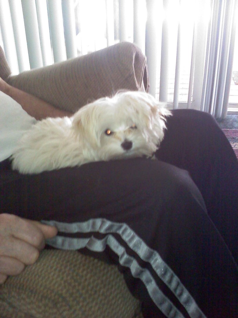 Norma Corbell's album, Profile Pictures