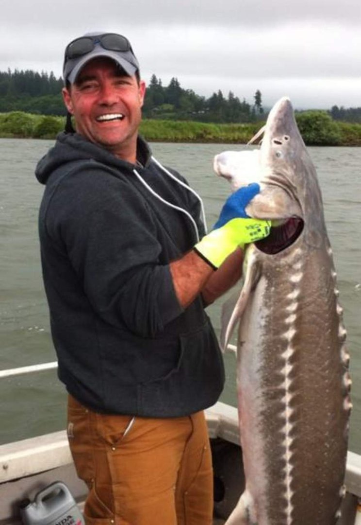 Aaron Whiting's album, Profile Pictures