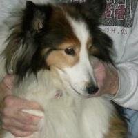 Ginger Wright's album, Profile Pictures
