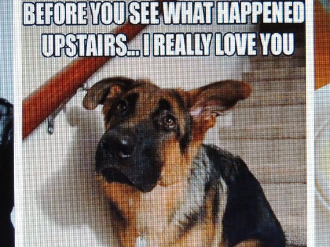 Barry Doherty's album, Timeline Photos