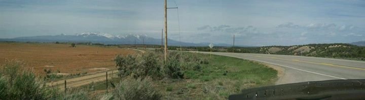 Darrell Razutis' album, Untitled Album