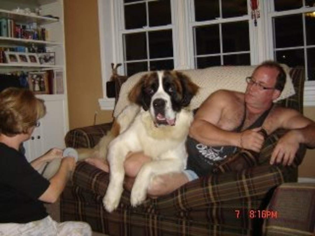 Michael Barton's album, Dads facebook photos