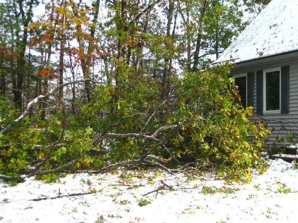 LORENE BEACH's album, Halloween Snow 2011