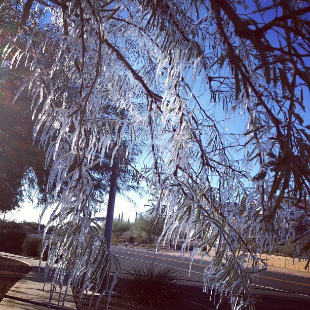 Sheldon Drake's album, Instagram Photos