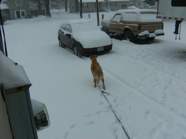 Tim Gustafson's album, Snow Day