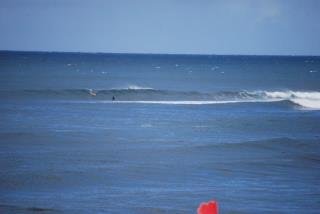 Greg Coffin's album, Hawaii