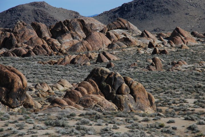 Robert Todd's album, lone Pine