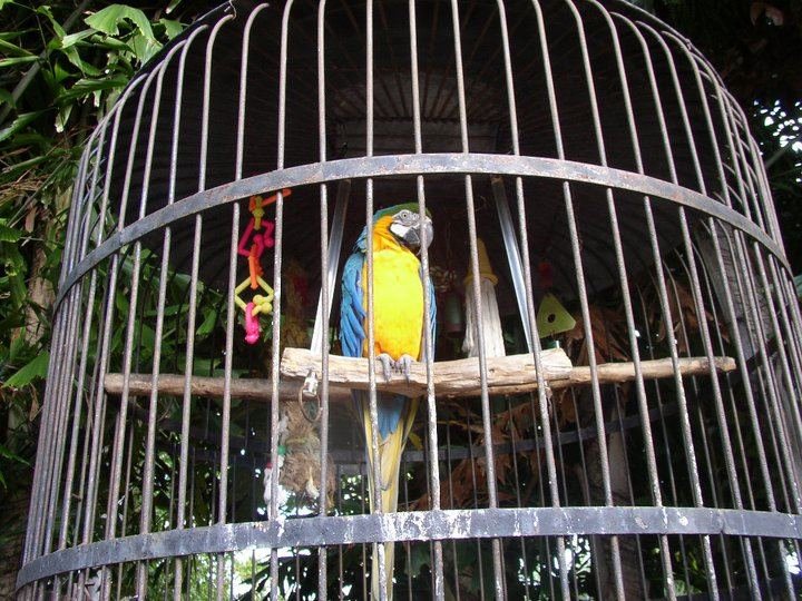 Randee Van Vleet's album, Sanibel