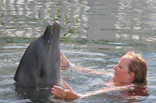 Jane McGill's album, playing with dolphins