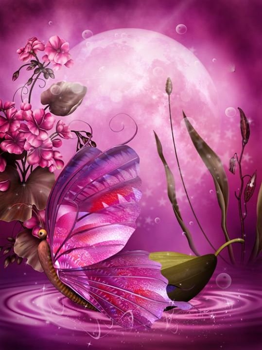 Gail Glassman's album, Puzzled Hearts Photos
