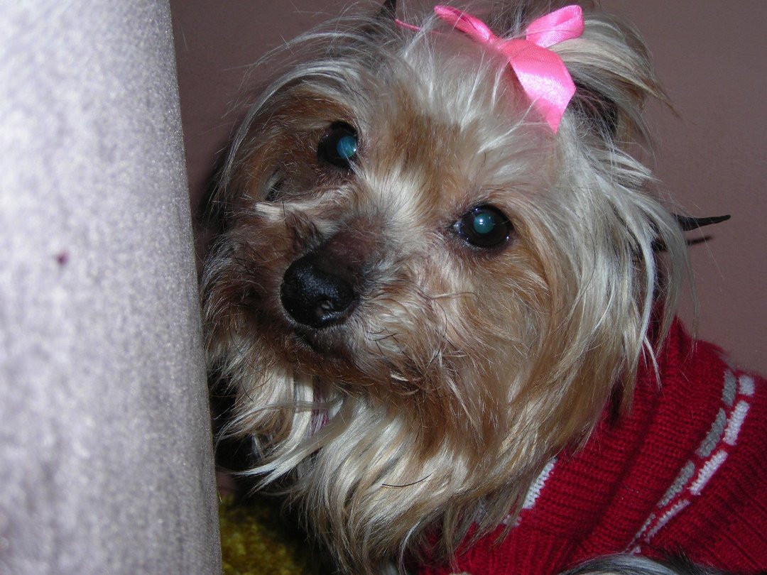Connie Countryman's album, Sophie's 1st day home