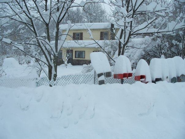 barbara dye's album, big snow