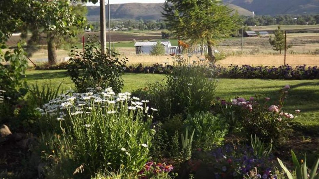 Deborah Horn's album, Cover Photos
