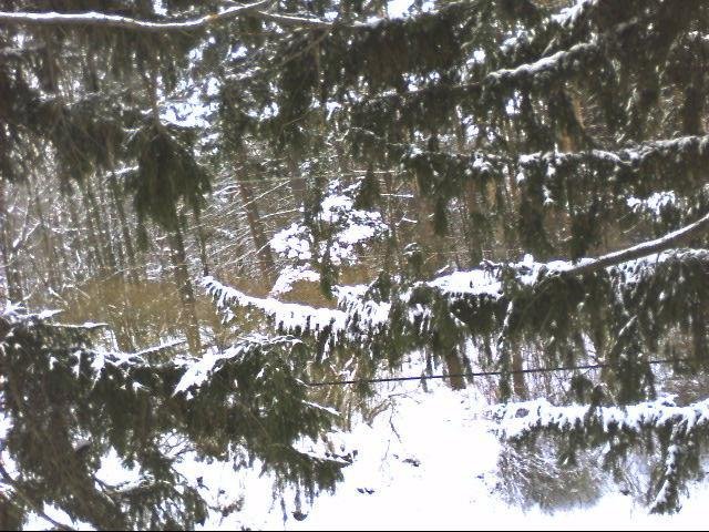 Timothy Wagner's album, Timeline Photos
