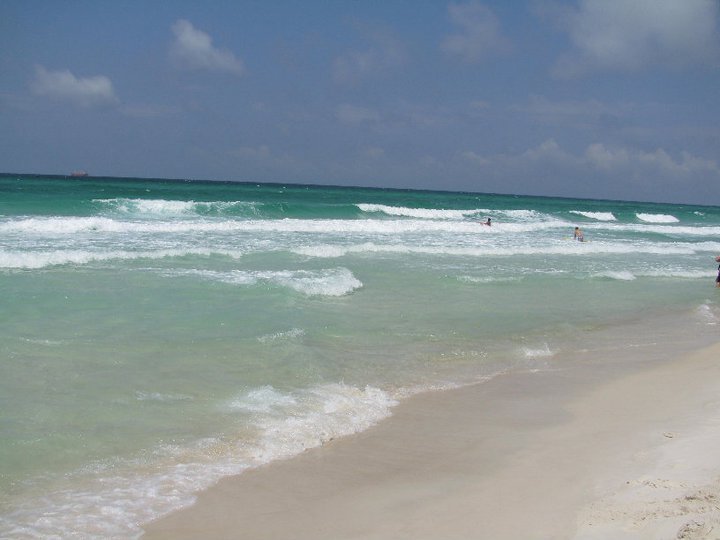 Sally Smith's album, PCB trip ~~ 2011