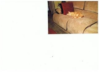 Deborah Sisk's album, Untitled Album