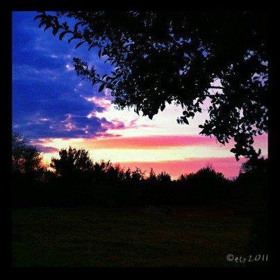 Jay Getman's album, Timeline Photos