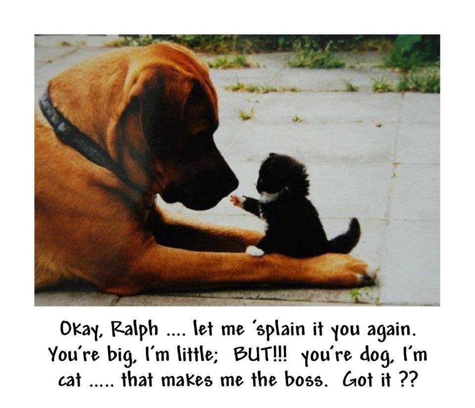 Robert Lemon's album, Timeline Photos