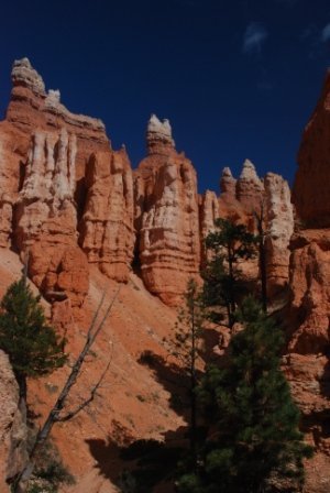 Michael Fingerle's album, West Trip 2010