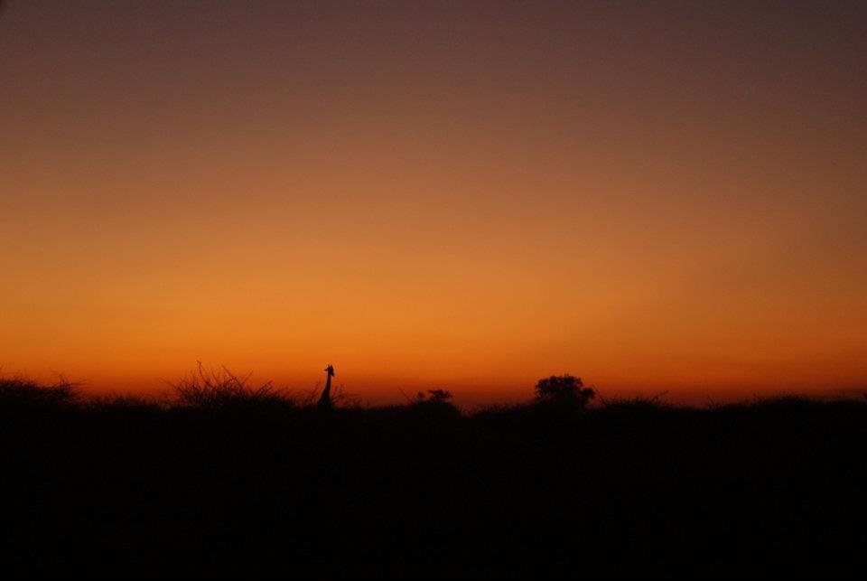 Greg Roworth's album, Kalahari