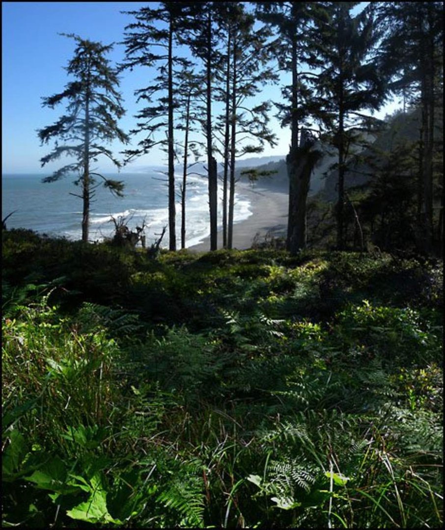 Karrie Lange's album, Cover Photos
