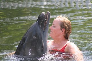 Jane McGill's album, playing with dolphins