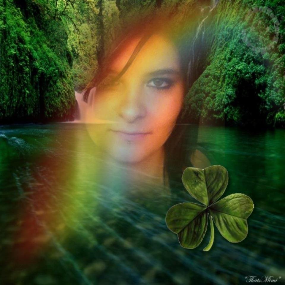 Allison Smith's album, Profile Pictures