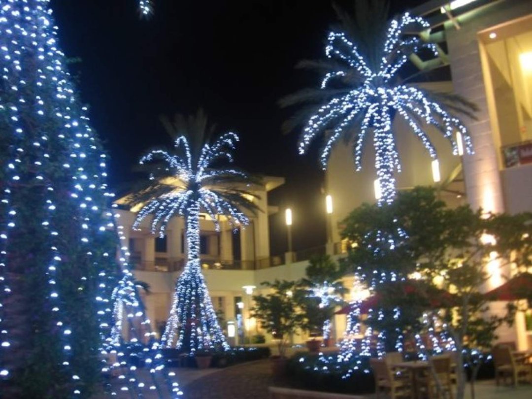 Bret Roberts' album, X-Mas time in Palm Beach Gardens 09'