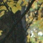 Jodi Meyer's album, Profile Pictures