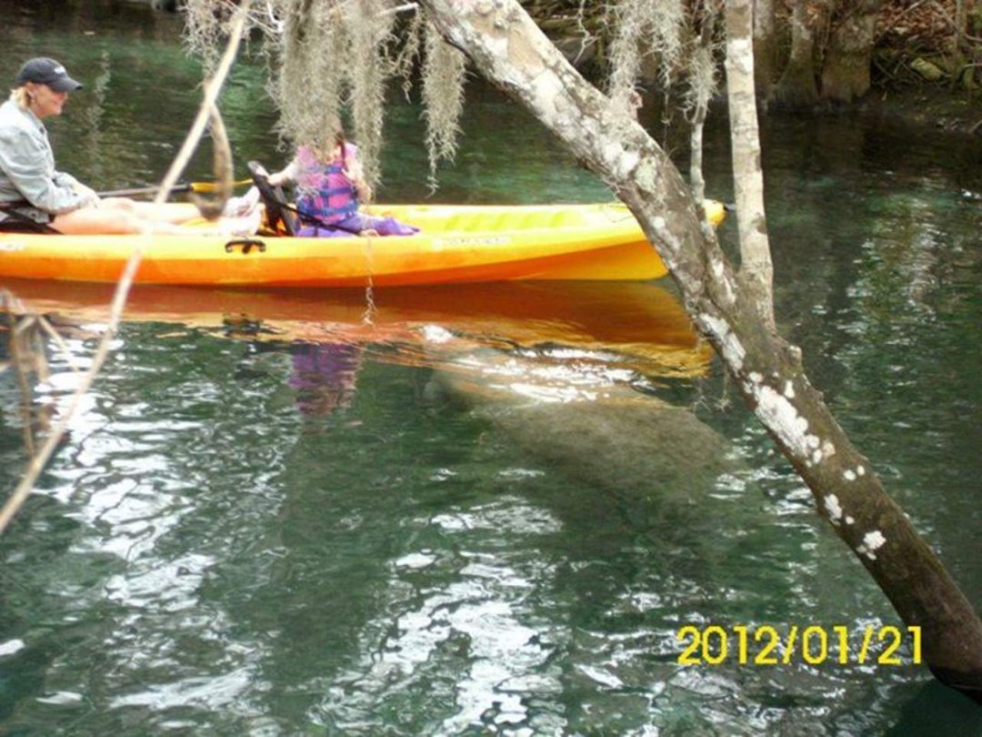 Daniel Berry's album, Three Sisters Springs