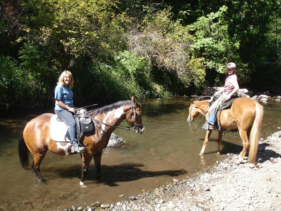 Carla Swearingen's album, August 2011 Horses