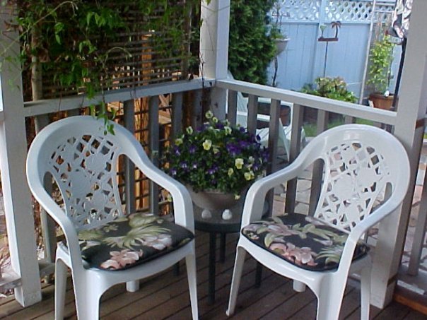 Barbara Kent's album, Yard Pictures