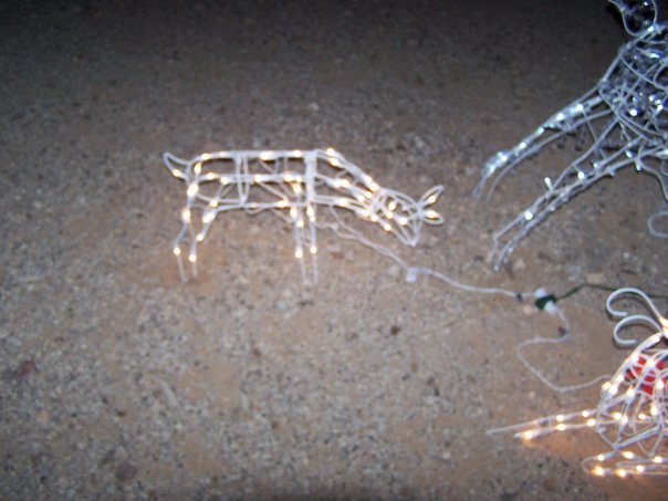 Diane Willsey (aka Riggs)'s album, Christmas 2009