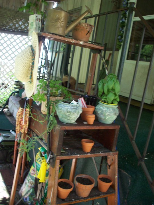 Paula Chevalier's album, My Patio