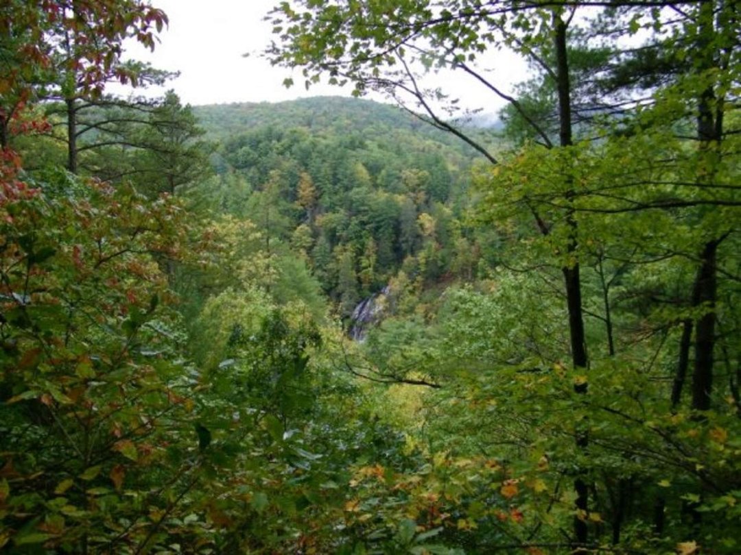 Rosemarie Hendricks' album, Helen, Ga