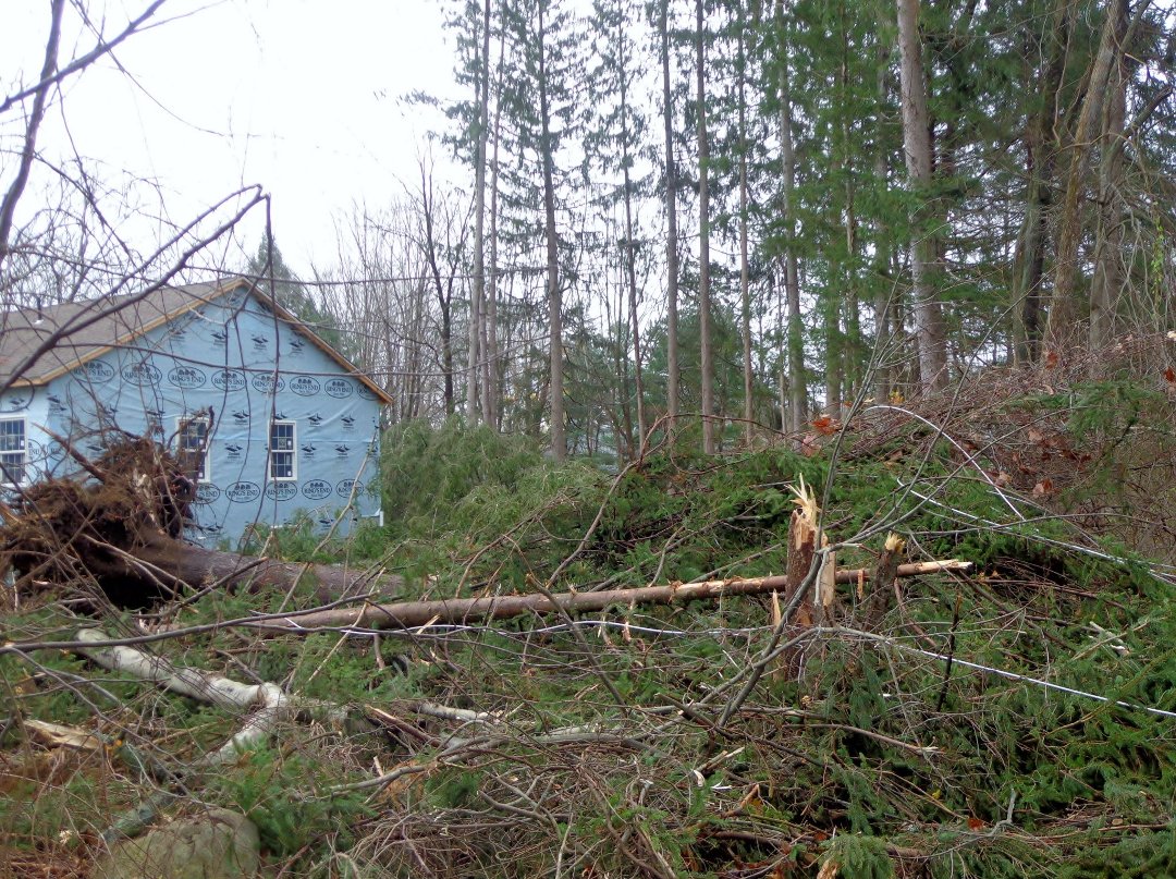 Charlene Antonelli's album, Aspetuck Pines House Building