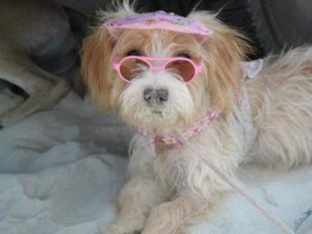 Vicki Waldren's album, A day at the Beach