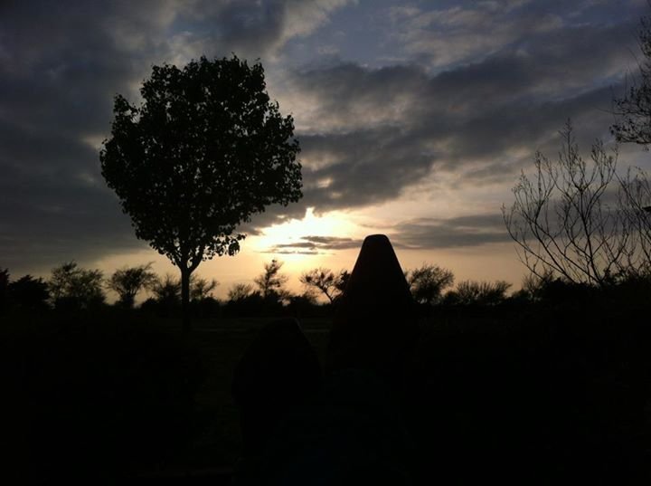 Mark Wells' album, Mobile Uploads