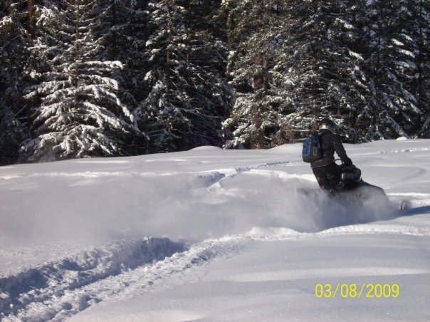 Steve Haney's album, Got Snow