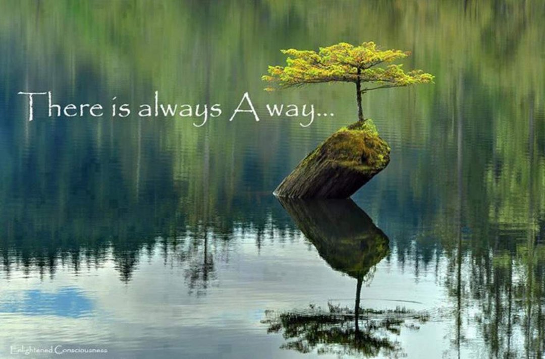 Sharen Wiktorowski's album, Cover Photos