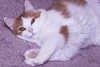 Annette Martin's album, Mobile Uploads