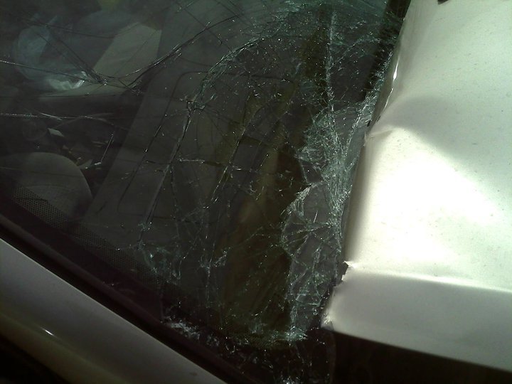 Sean Murphy's album, Alexis car after meeting Tahoe